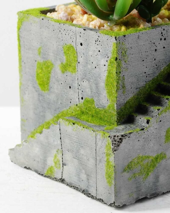 Succulent bonsai GS-2450214