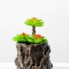 Succulent bonsai GS-2450215
