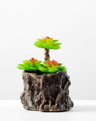 Succulent bonsai GS-2450215 Succulent YeahFlower is one of Chinese leading OEM manufacturers and exporters , supplying the silk flowers, wholesale artificial trees Succulent bonsai GS-2450215