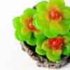 Succulent bonsai GS-2450215