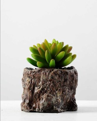 Succulent bonsai GS-2450222 Succulent YeahFlower is one of Chinese leading OEM manufacturers and exporters , supplying the silk flowers, wholesale artificial trees Succulent bonsai GS-2450222