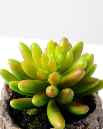 Succulent bonsai GS-2450222 Succulent YeahFlower is one of Chinese leading OEM manufacturers and exporters , supplying the silk flowers, wholesale artificial trees Succulent bonsai GS-2450222