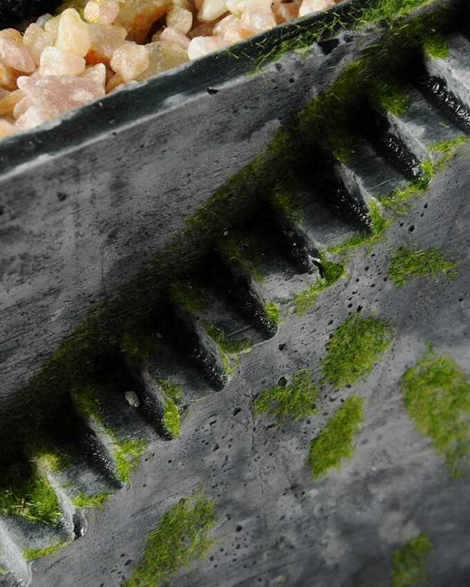 Succulent bonsai GS-2450224