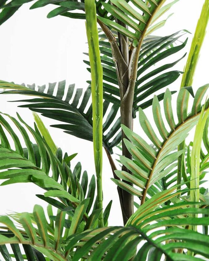 120CM madagascar Palm in Pot GS-2450229