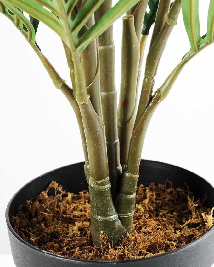 120CM madagascar Palm in Pot GS-2450229