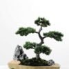 pine needle bonsai GS-2450305
