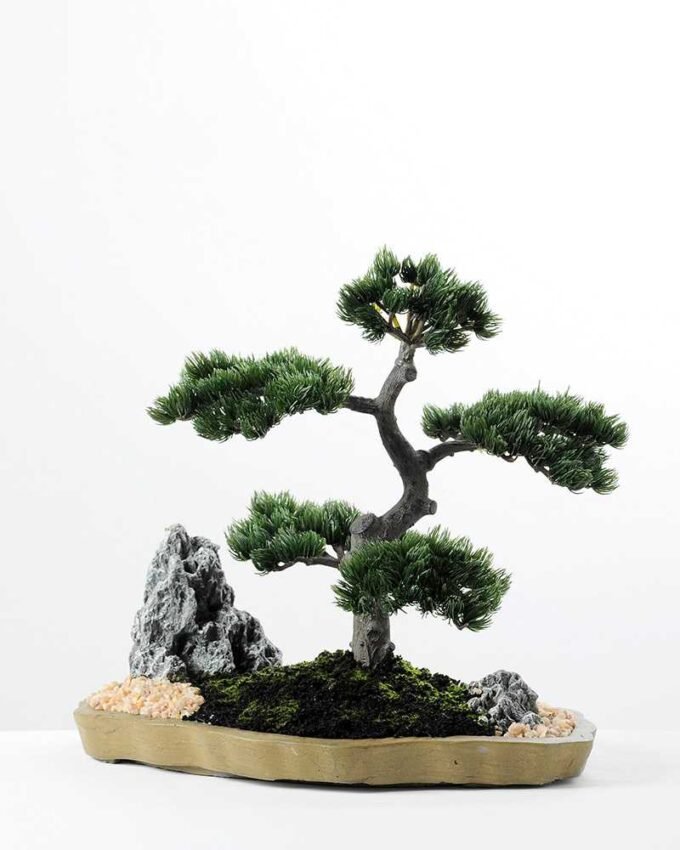 pine needle bonsai GS-2450305