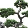 pine needle bonsai GS-2450305