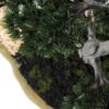 pine needle bonsai GS-2450305