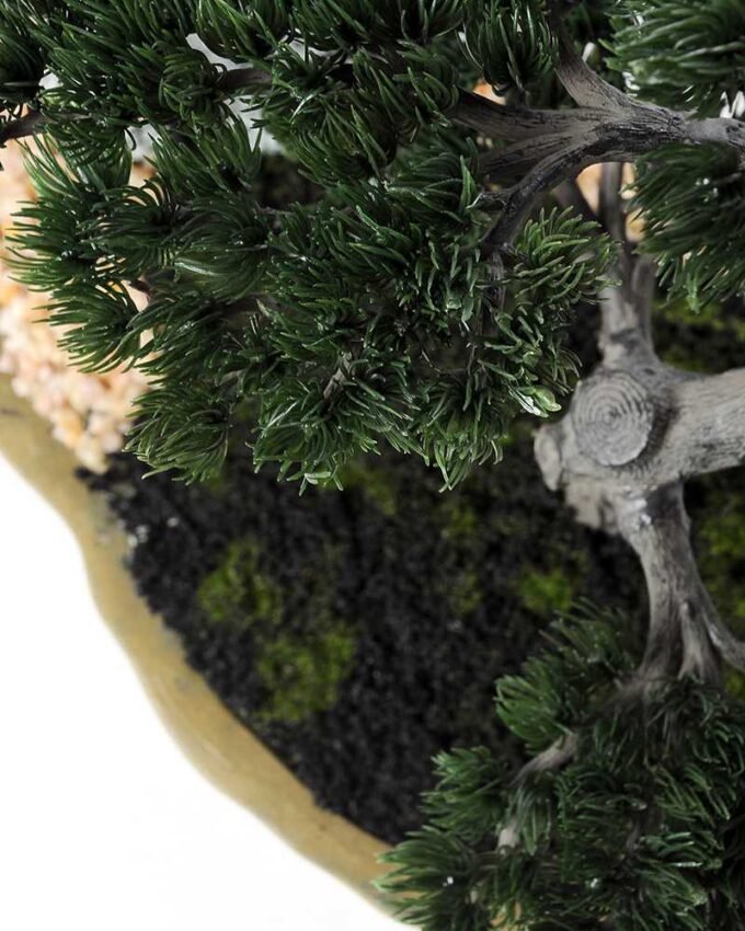 pine needle bonsai GS-2450305