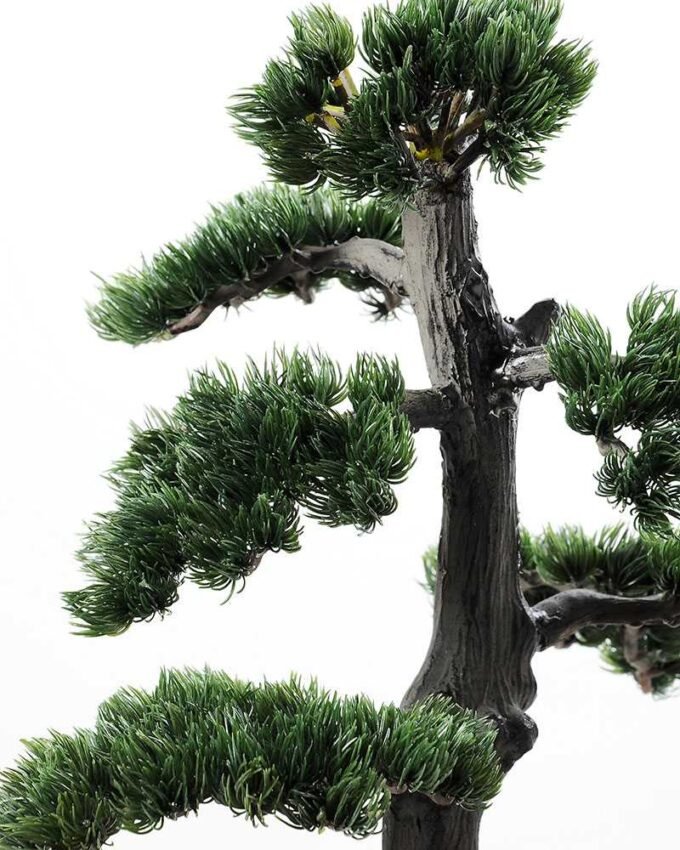pine needle bonsai GS-2450307