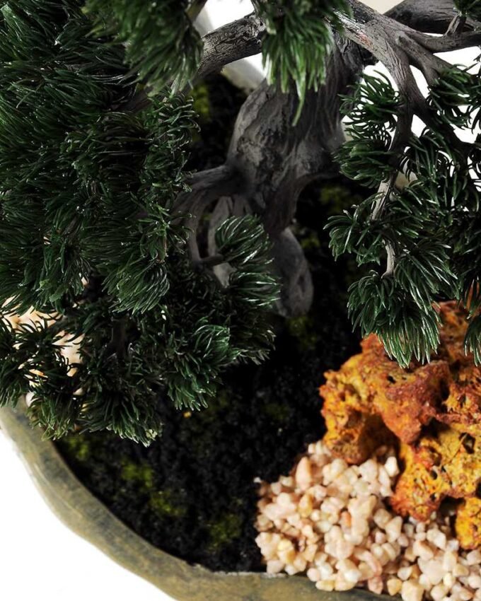 pine needle bonsai GS-2450307