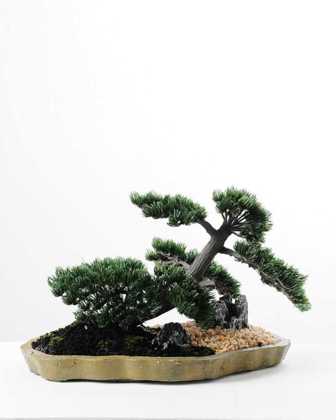 pine needle bonsai GS-2450308