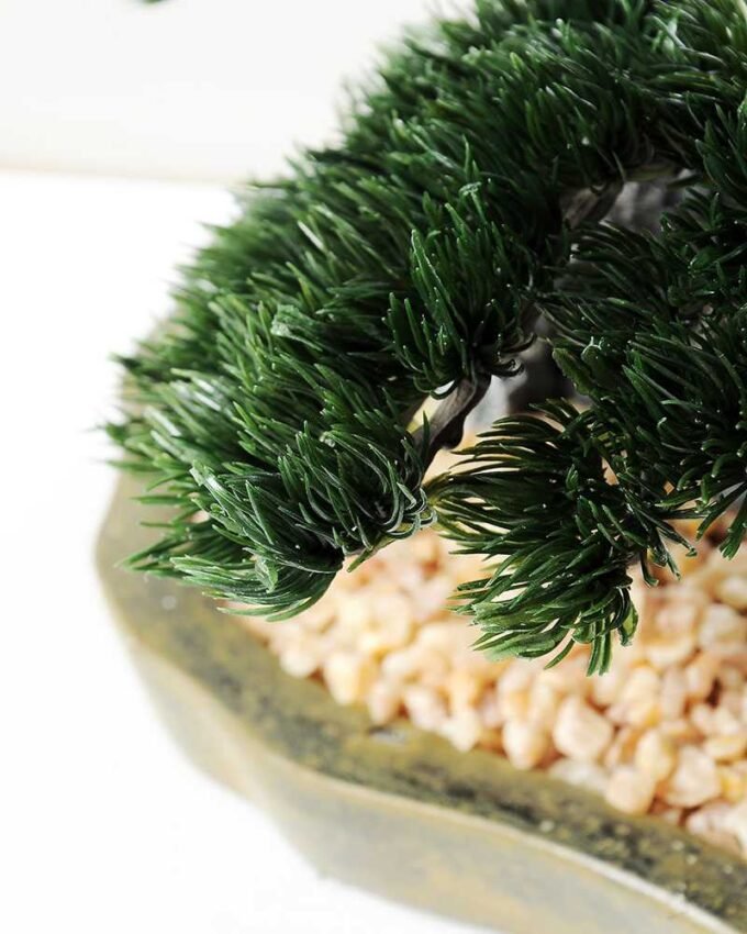 pine needle bonsai GS-2450308