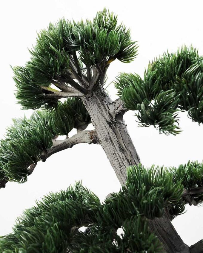pine needle bonsai GS-2450308