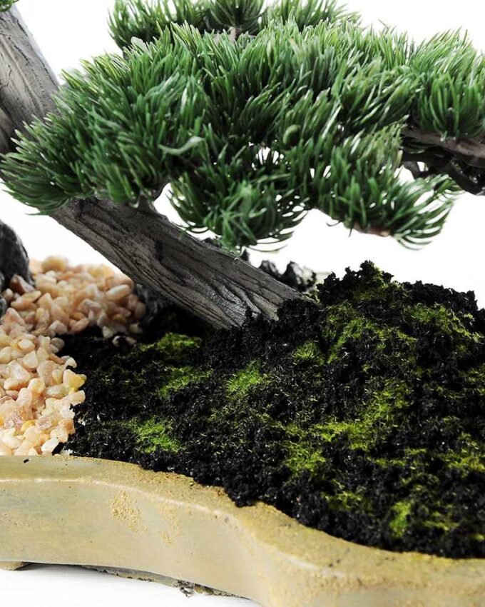 pine needle bonsai GS-2450308