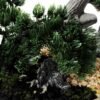 pine needle bonsai GS-2450308
