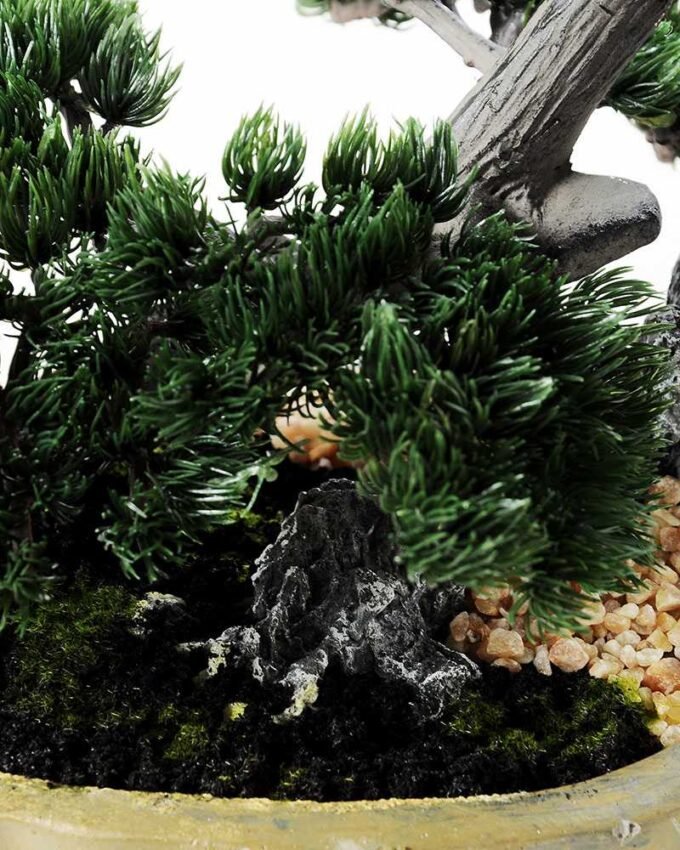 pine needle bonsai GS-2450308