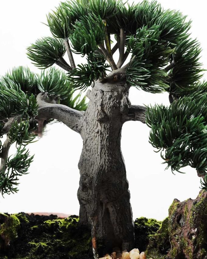 pine needle bonsai GS-2450309