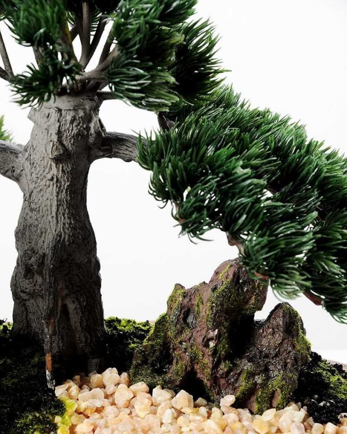 pine needle bonsai GS-2450309