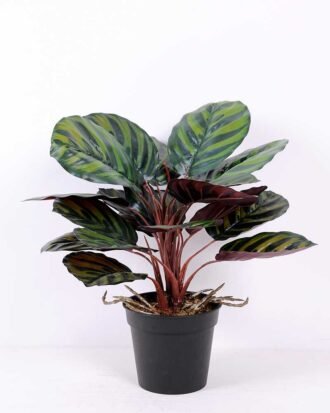 38CM Taro subtree GS-2450355