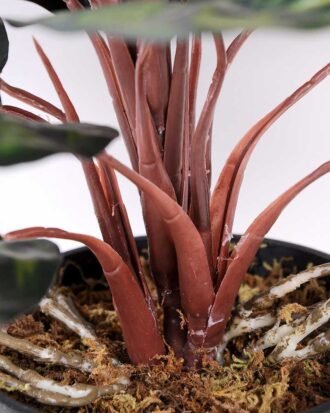 38CM Taro subtree GS-2450355