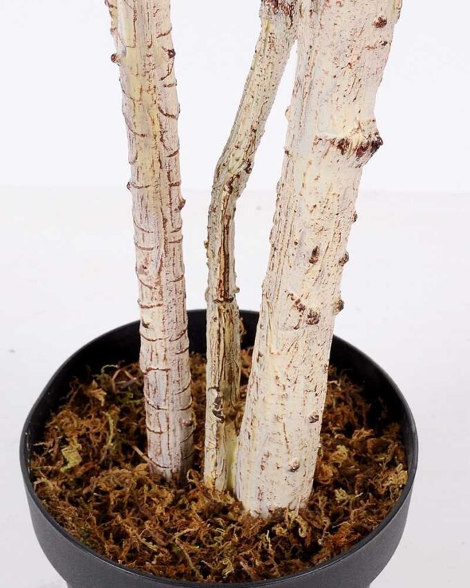 175CM Leaf of curvature GS-2450357