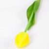 3*43CM Single Tulip GS-2450359