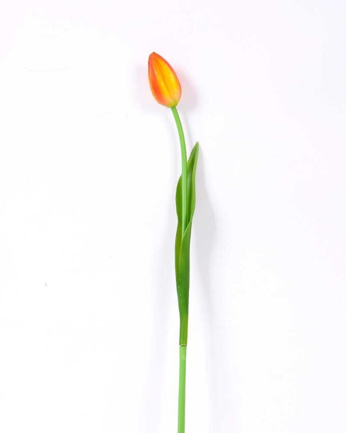 3*43CM Single Tulip GS-2450360