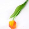 3*43CM Single Tulip GS-2450360