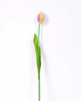 3*43CM Single Tulip GS-2450361