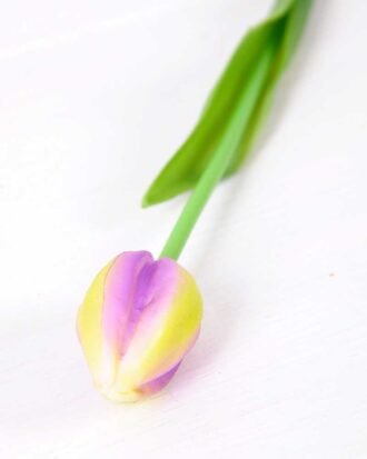 3*43CM Single Tulip GS-2450361