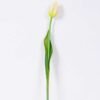 3*43CM Single Tulip GS-2450363