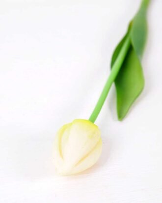 3*43CM Single Tulip GS-2450363