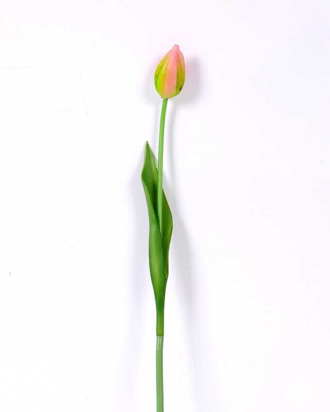 3*43CM Single Tulip GS-2450365