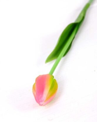 3*43CM Single Tulip GS-2450365