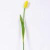 3*44CM Single Tulip GS-2450366 1 3*44CM Single Tulip GS-2450366