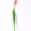 3*44CM Single Tulip GS-2450367