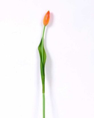 3*44CM Single Tulip GS-2450367