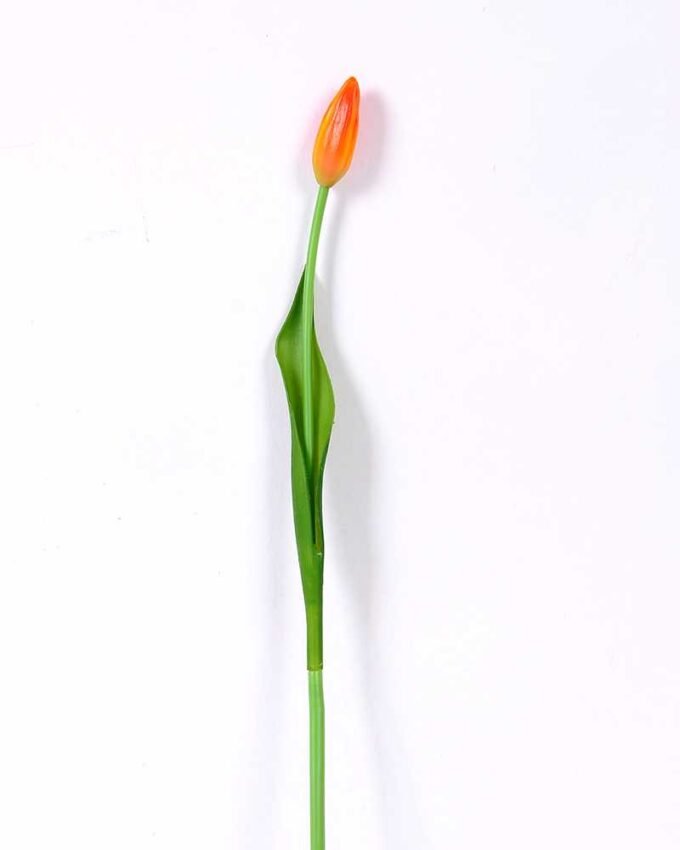 3*44CM Single Tulip GS-2450367