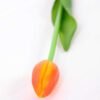 3*44CM Single Tulip GS-2450367