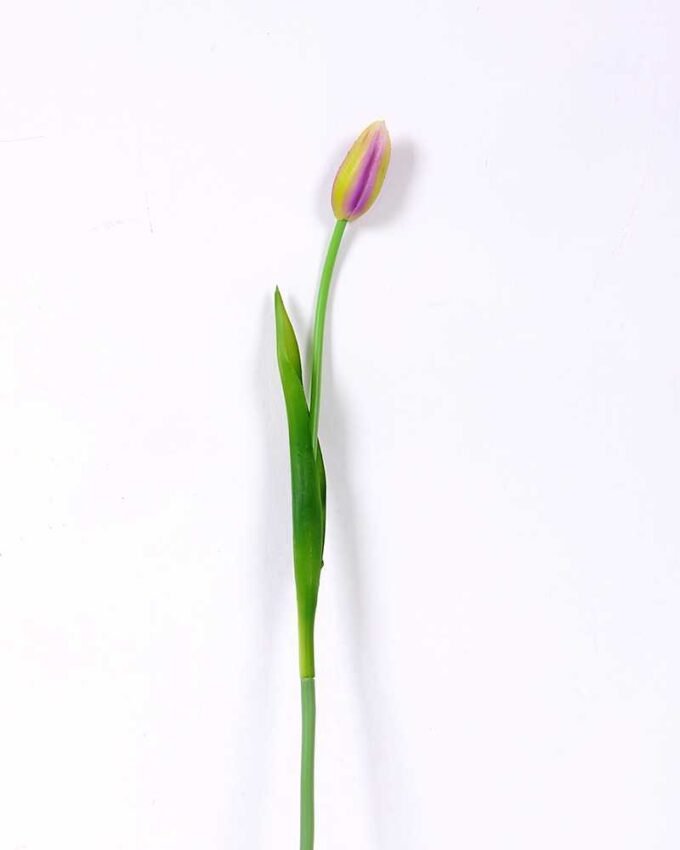 3*44CM Single Tulip GS-2450368