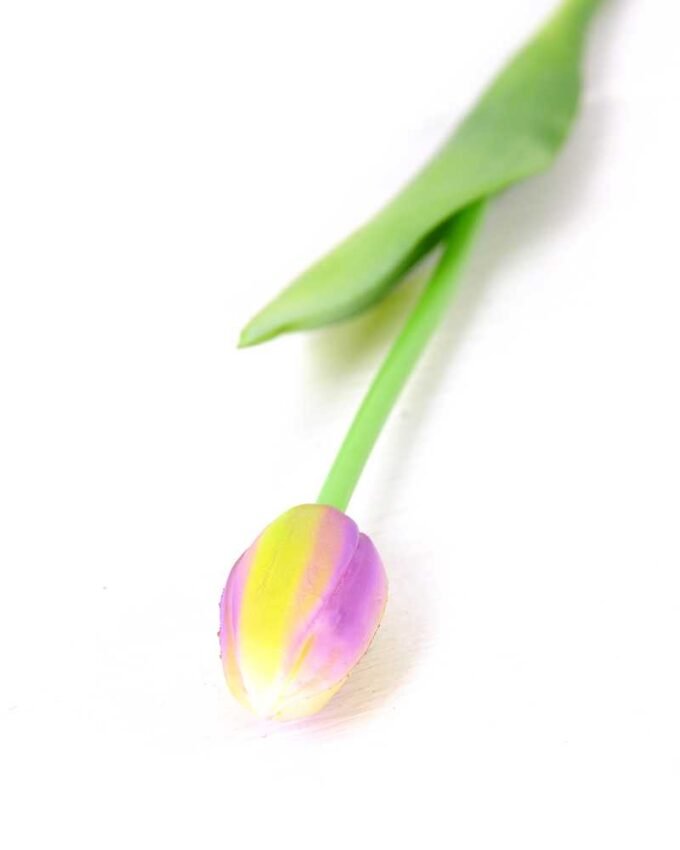 3*44CM Single Tulip GS-2450368