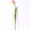 3*44CM Single Tulip GS-2450369