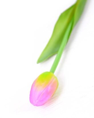 3*44CM Single Tulip GS-2450369