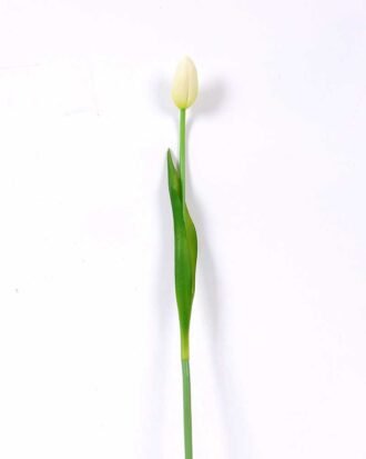 3*44CM Single Tulip GS-2450370