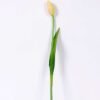 3*44CM Single Tulip GS-2450371