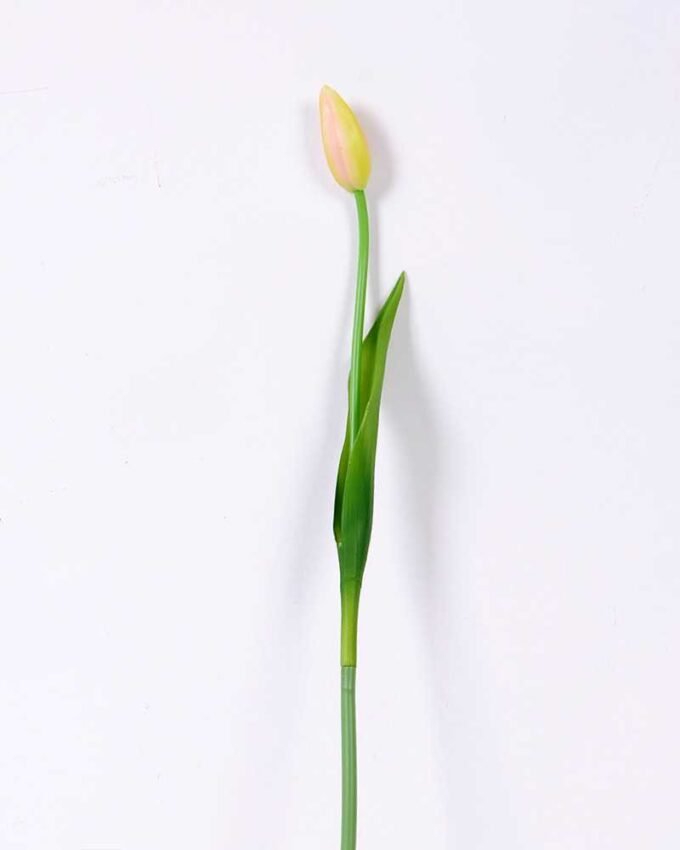 3*44CM Single Tulip GS-2450371