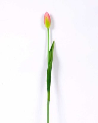 3*44CM Single Tulip GS-2450372