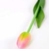 3*44CM Single Tulip GS-2450372